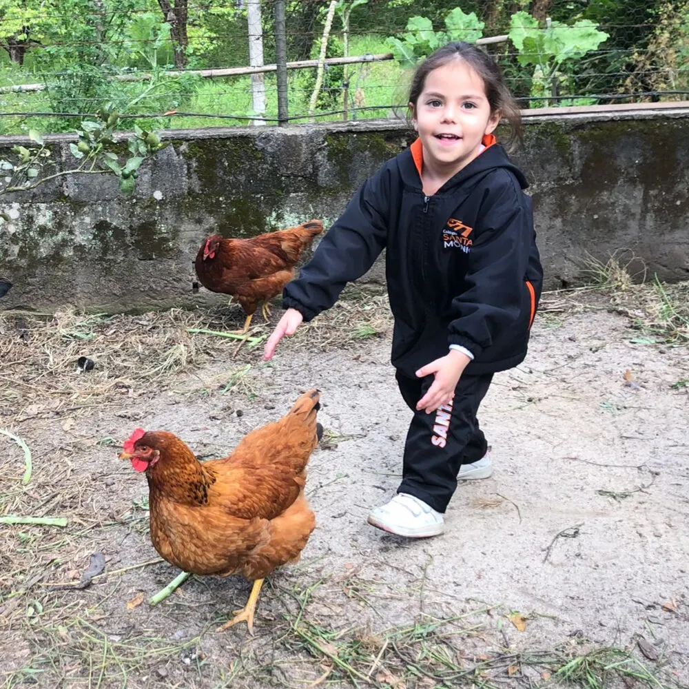 Núcleo Agroambiental do Colégio Santa Mônica, na Serra do Itapeti