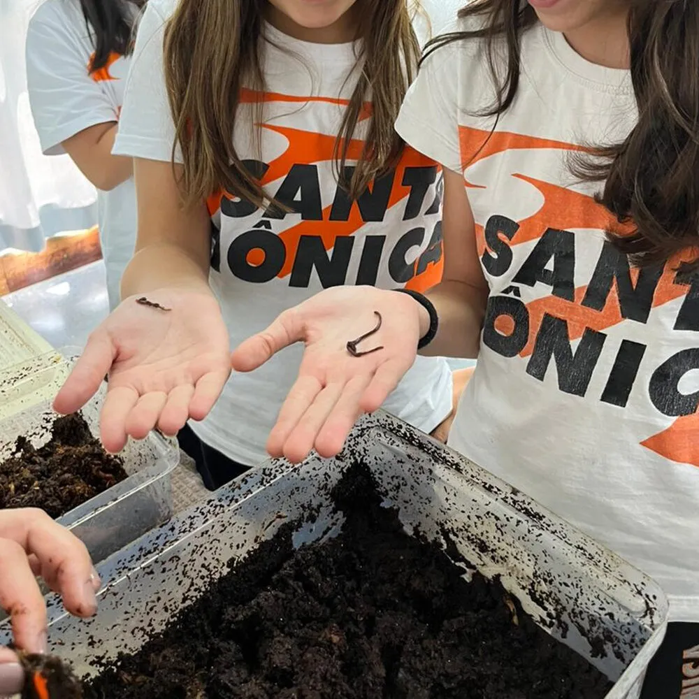 Projeto Sustenta Santa: alunos em ação de sustentabilidade
