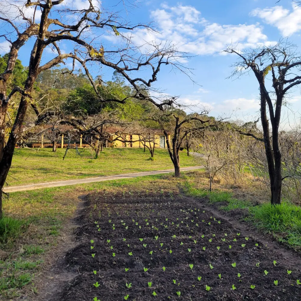 Projeto Sustenta Santa: compostagem de orgânicos